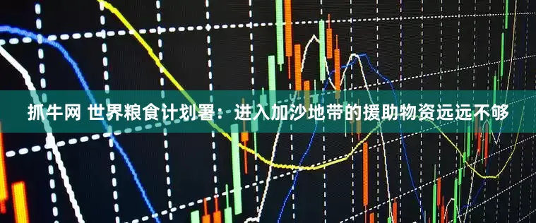 抓牛网 世界粮食计划署：进入加沙地带的援助物资远远不够