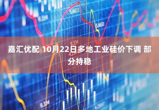嘉汇优配 10月22日多地工业硅价下调 部分持稳