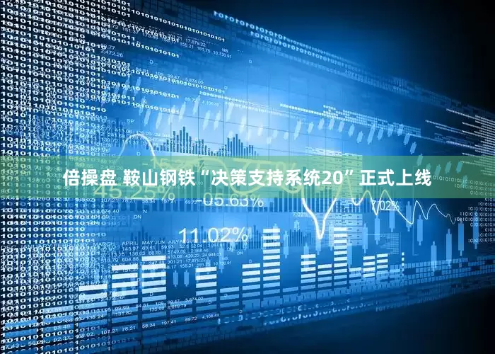 倍操盘 鞍山钢铁“决策支持系统20”正式上线