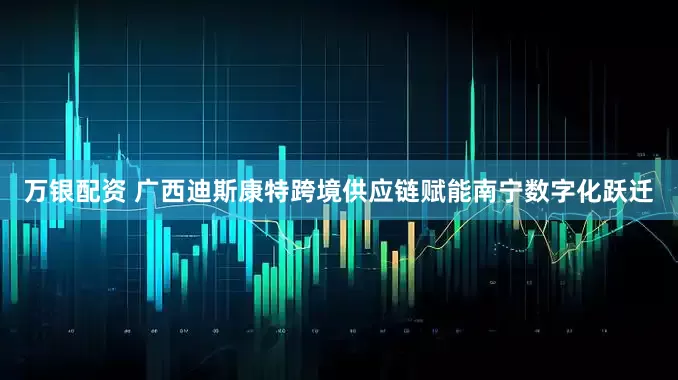万银配资 广西迪斯康特跨境供应链赋能南宁数字化跃迁
